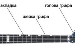 Устройство гитарного грифа