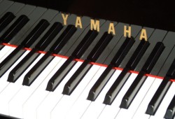 Сколько клавиш у фортепиано, пианино и синтезаторов