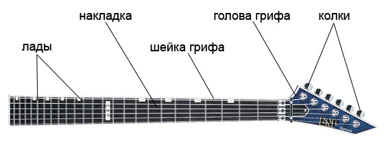 gitarniy_grif_ustroystvo