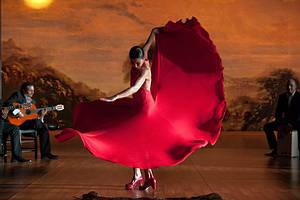 ae555f49eb_flamenco
